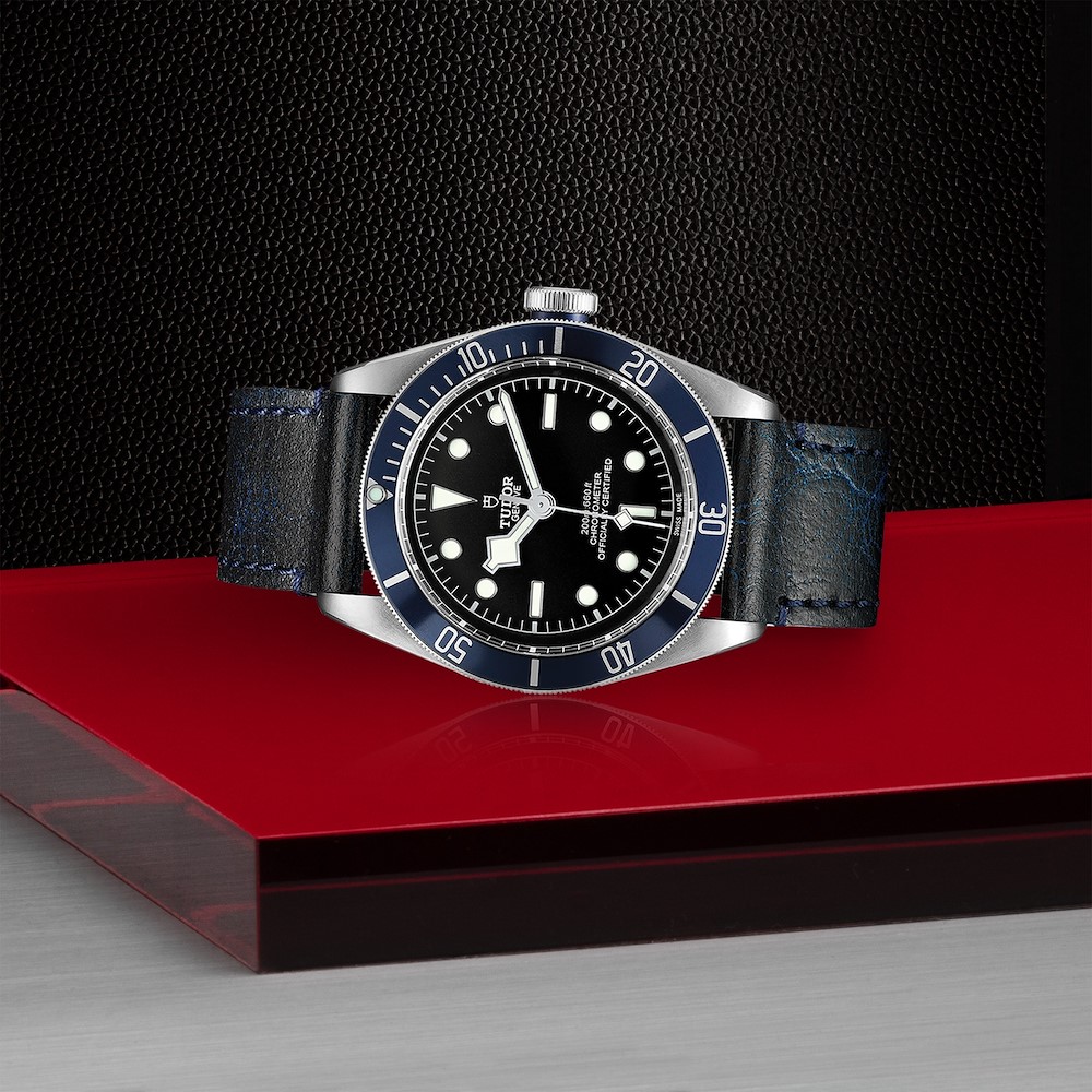 Tudor Black Bay